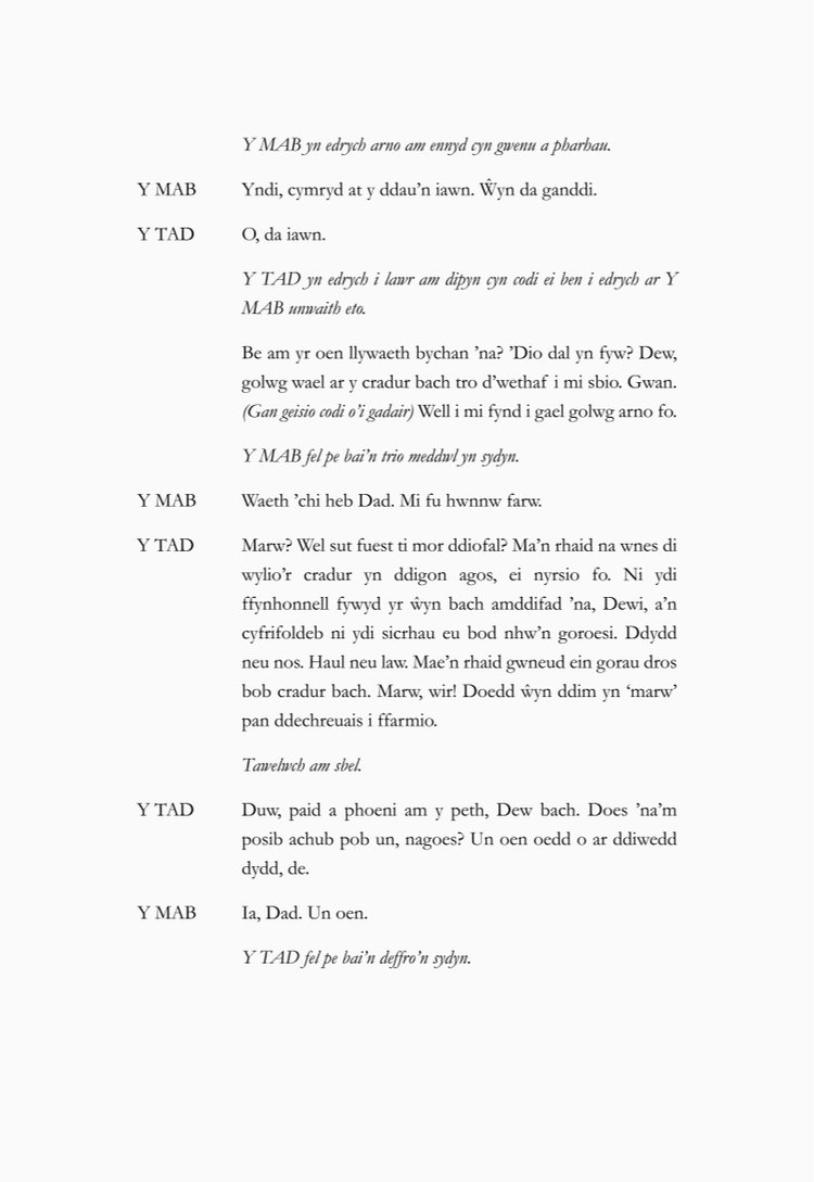 Diwedd y GÃ¢n â€“ Elin Williams