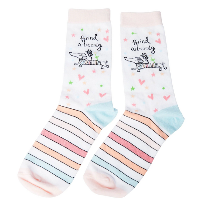 Bamboo Gift Socks - Ffrind Arbennig - Sausage Dog