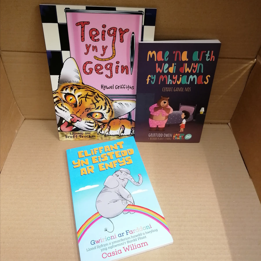 Mystery £10 book box for children aged 9-13 years – Siop Cwlwm