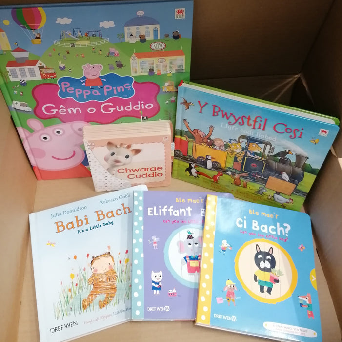 Mystery £30 book box for children aged 1-3 years