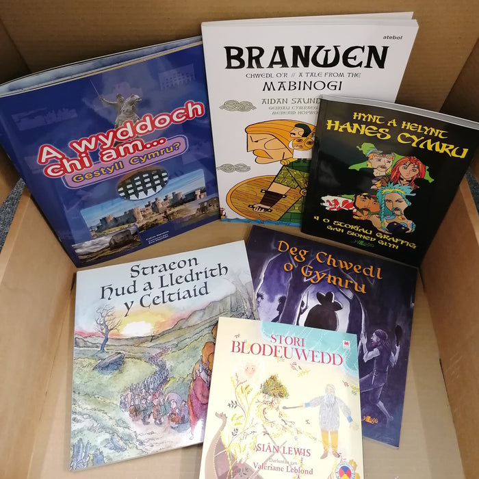Mystery £30 book box for children aged 6-9 years