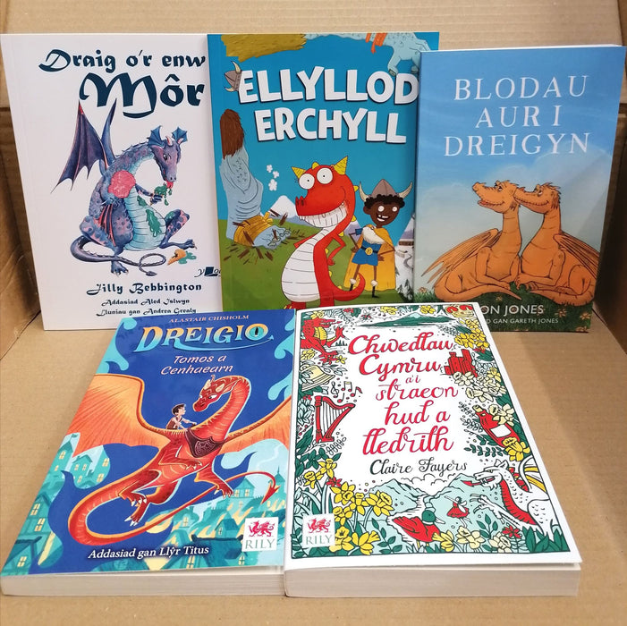 Mystery £30 book box for children aged 9-13 years