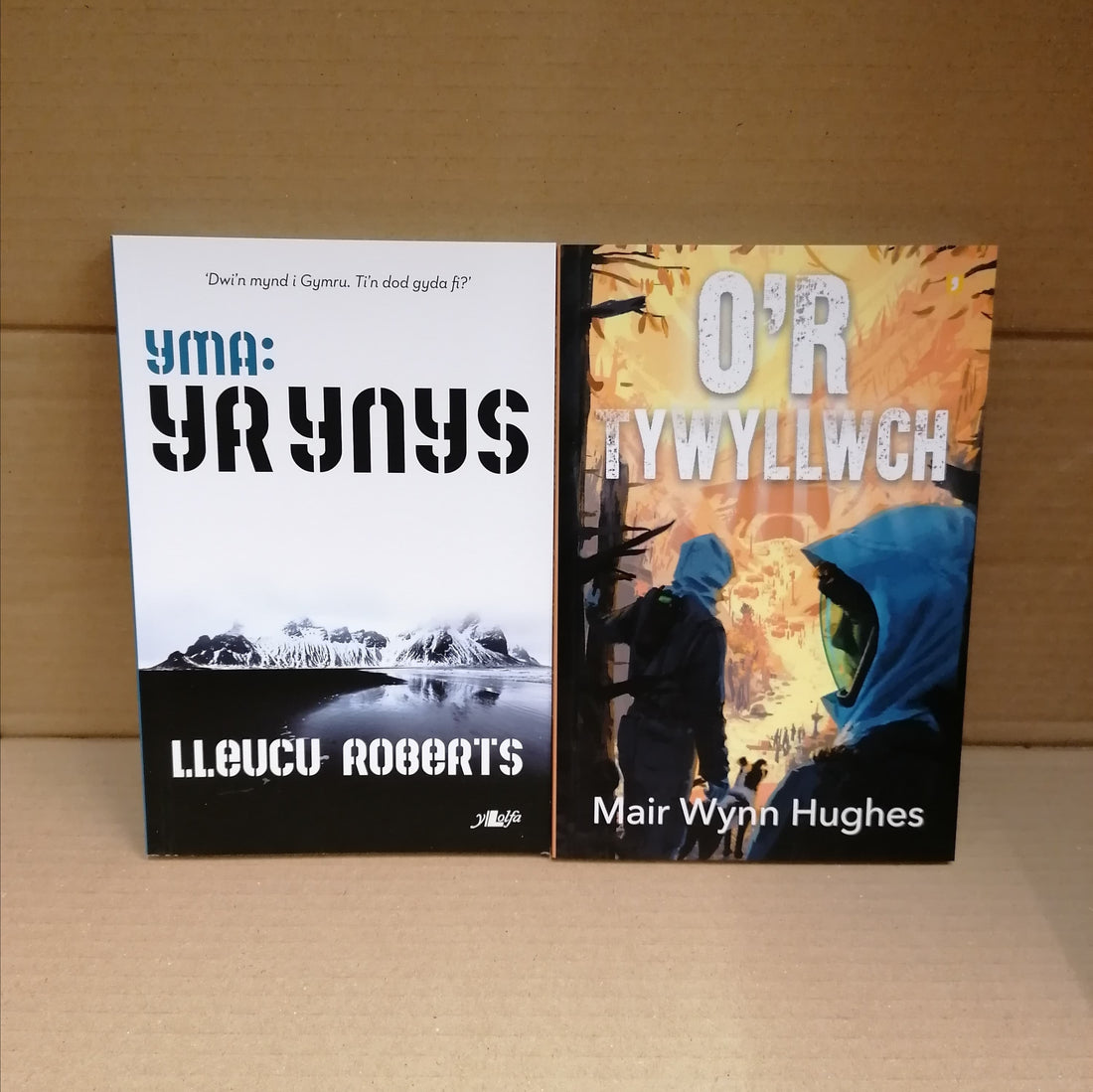 Mystery £10 book box for young people aged 13 years and older