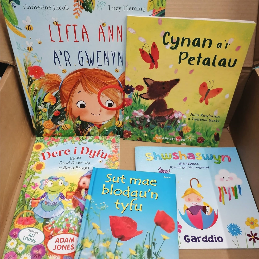 Mystery £30 book box for children aged 6-9 years