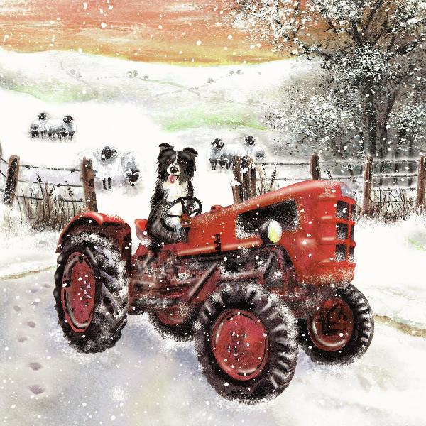 Christmas cards 'Gyrru'r Tractor' pack of 10