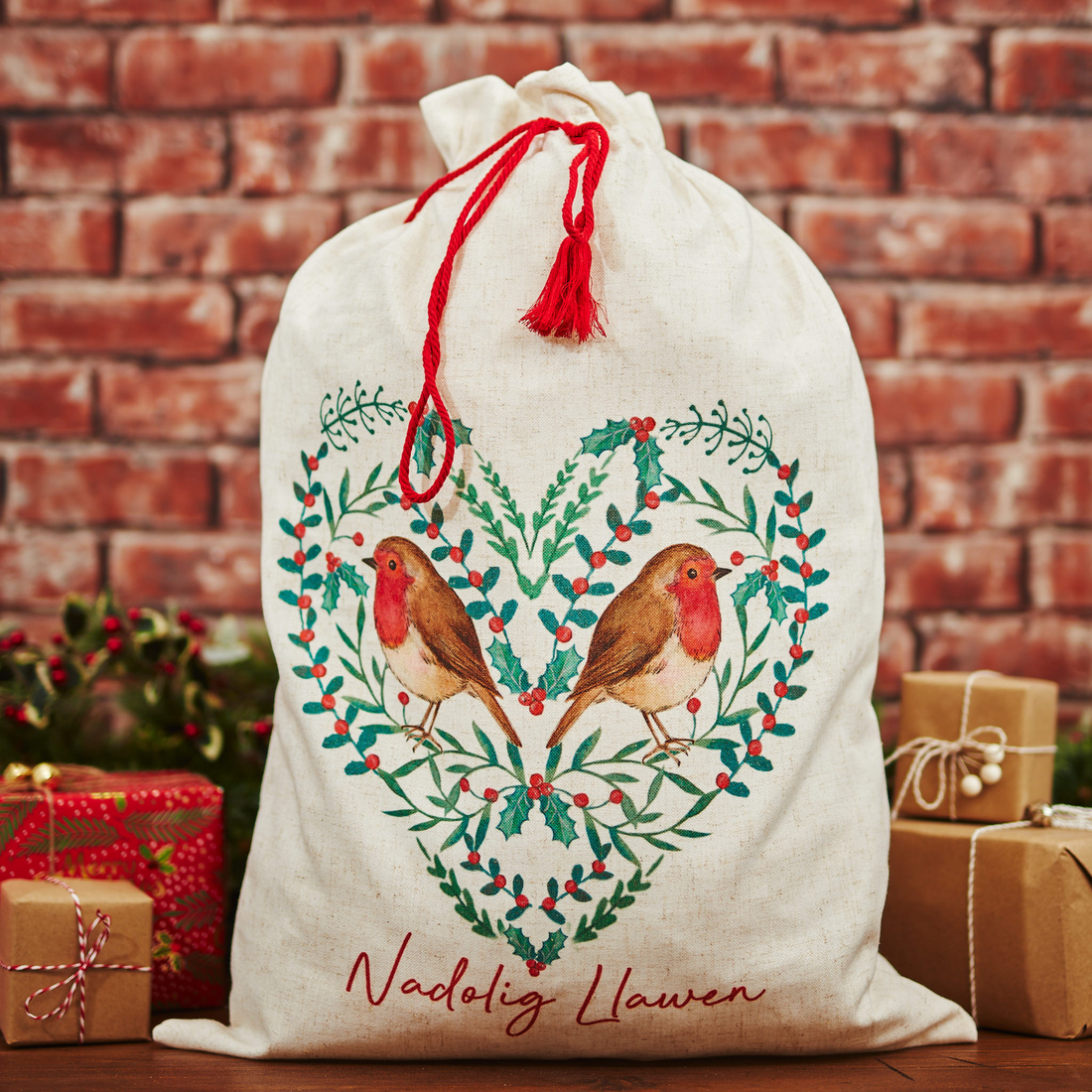 Nadolig Llawen Robin Santa Sack
