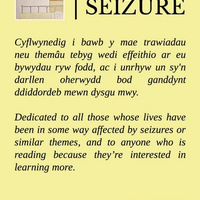 Trawiad | Seizure: Pamffled o gerddi | A poetry pamphlet
