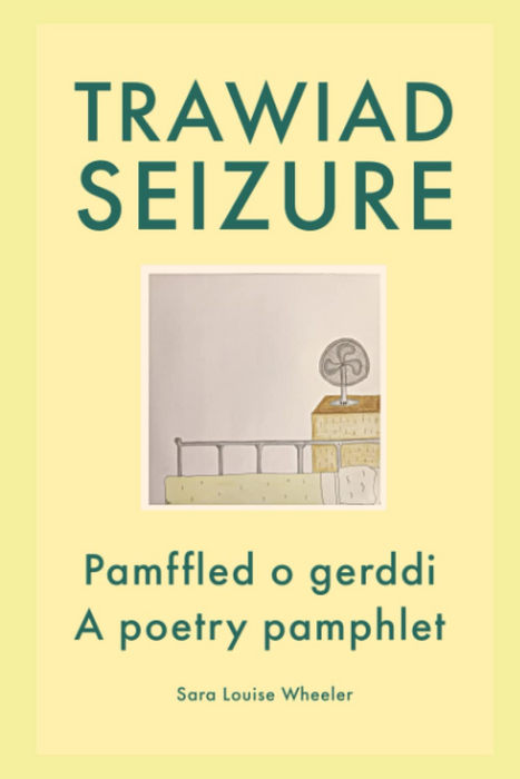 Trawiad | Seizure: Pamffled o gerddi | A poetry pamphlet