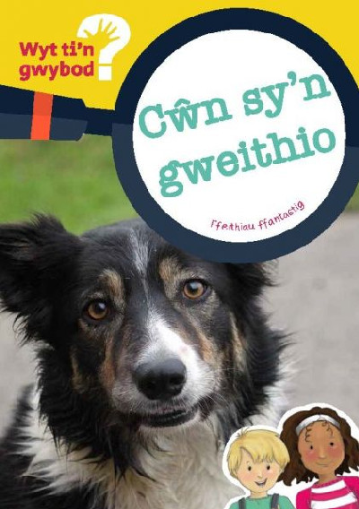 Cyfres Wyt Ti&