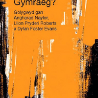 Beth Yw'r Gymraeg