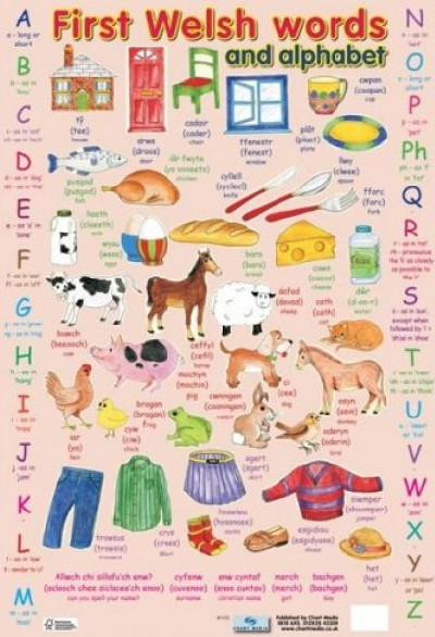 First Welsh Words and Alphabet (Poster)