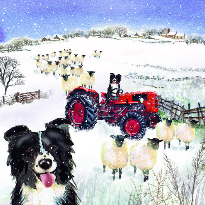Christmas cards 'Tractor Shep' pack of 10