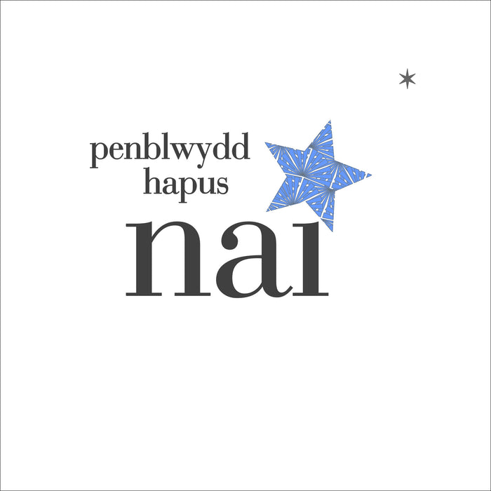 Birthday card 'Penblwydd Hapus Nai' nephew