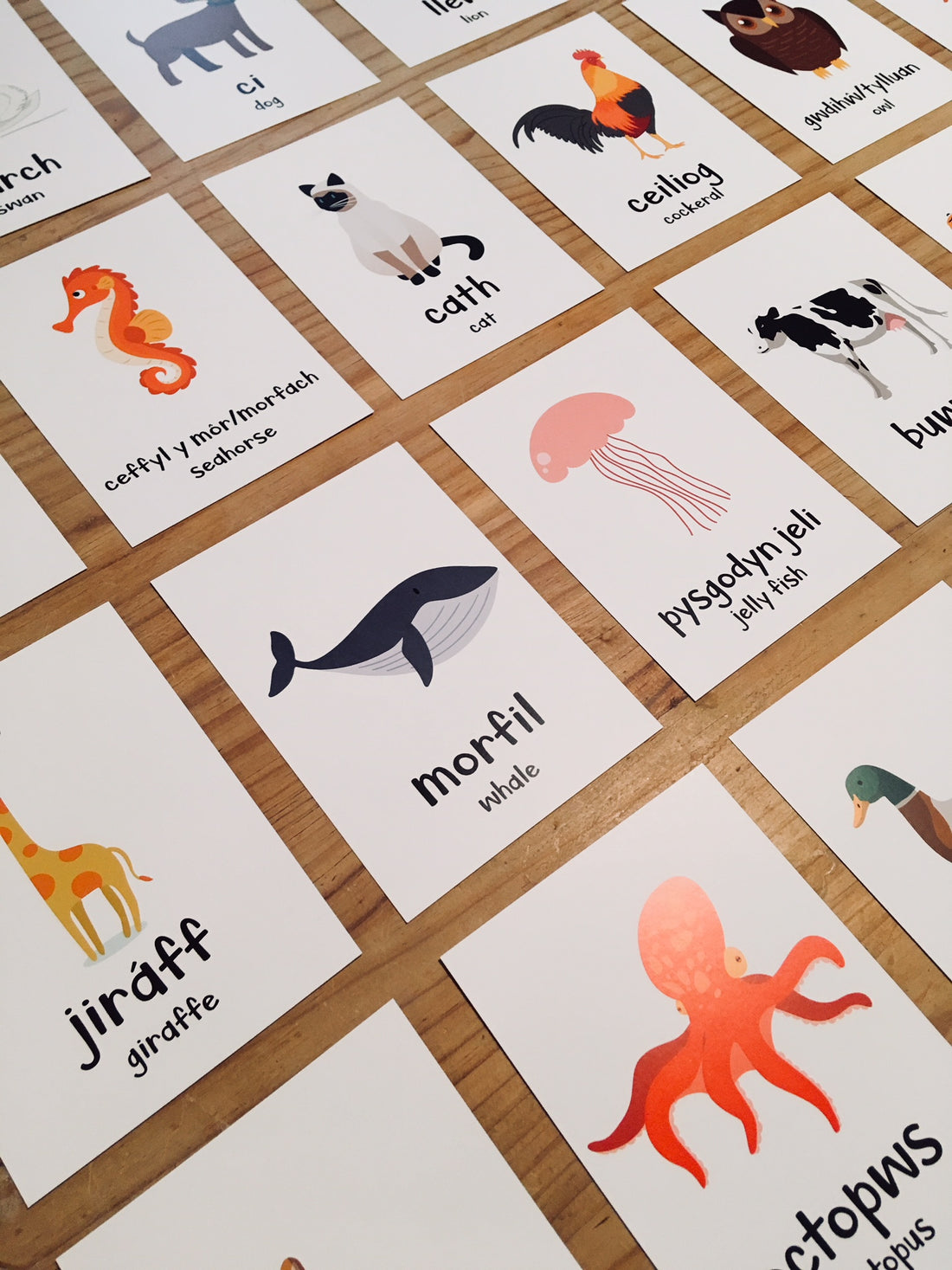Welsh Animal Flash Cards