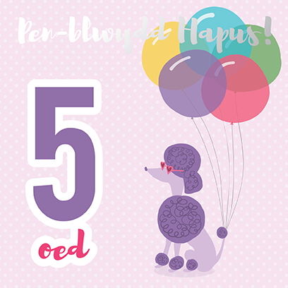 Birthday card 'Pen-blwydd hapus 5' poodle