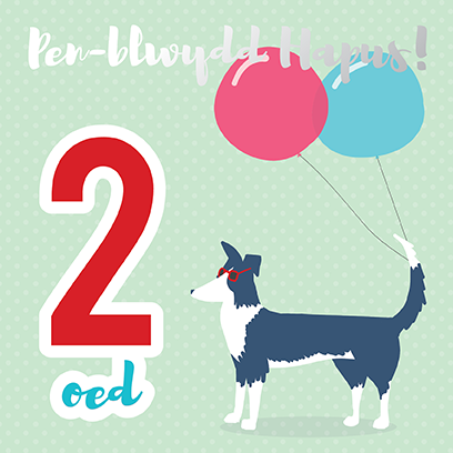 Birthday card 'Pen-blwydd hapus 2' sheep dog