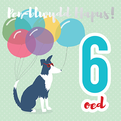 Birthday card 'Pen-blwydd hapus 6' sheep dog