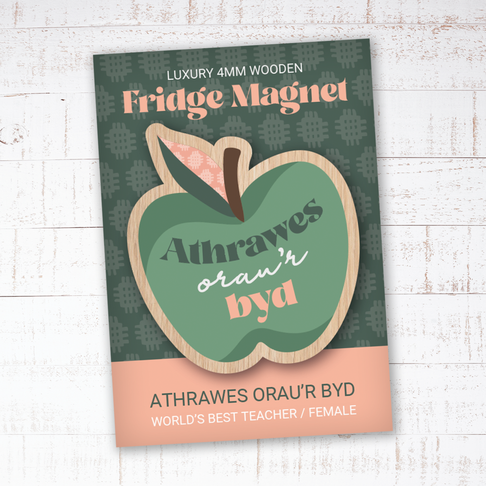 Painted Wooden Fridge Magnet &