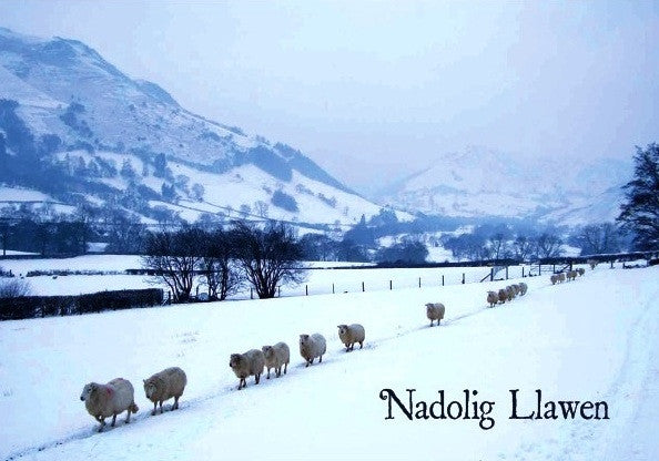 Christmas card 'Nadolig Llawen' sheep