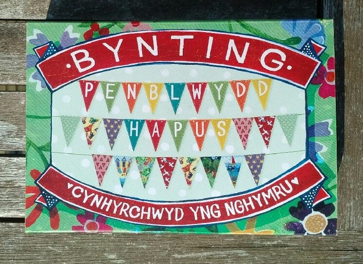 Penblwydd Hapus Bunting – Birds and Butterflies