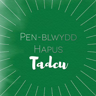 Birthday card 'Pen-blwydd hapus Tadcu' Grandad