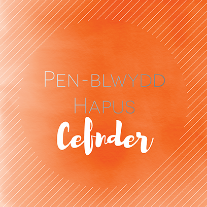 Birthday card 'Pen-blwydd hapus Cefnder' Cousin (male)