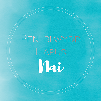 Birthday card 'Pen-blwydd hapus Nai' Nephew