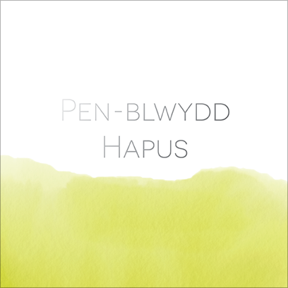 Birthday card 'Pen-blwydd Hapus'