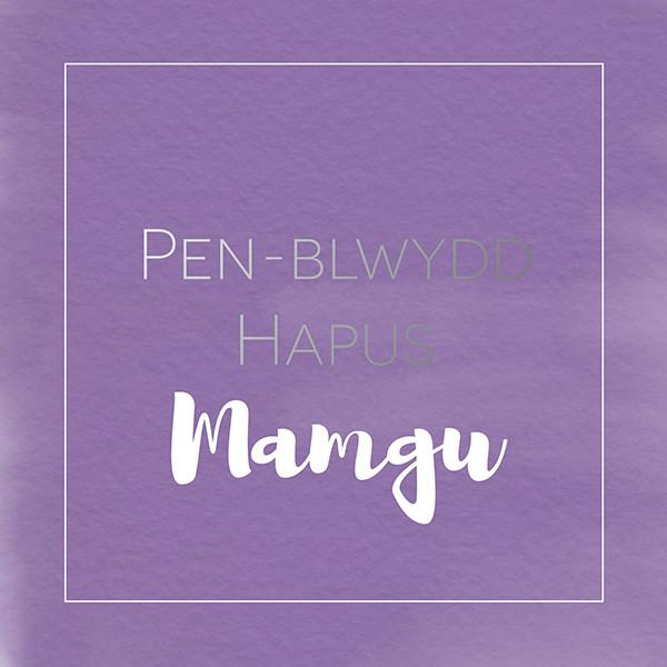 Birthday card 'Pen-blwydd hapus Mamgu' Gran