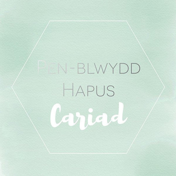 Birthday card 'Pen-blwydd hapus Cariad' Love