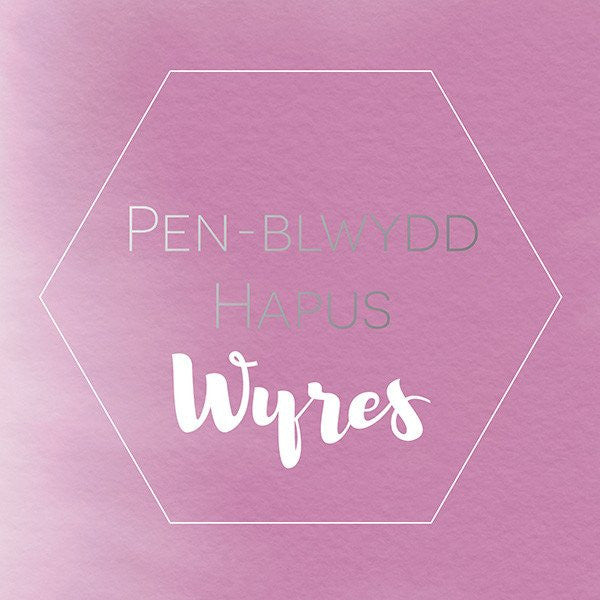 Birthday card 'Pen-blwydd hapus Wyres' Granddaughter