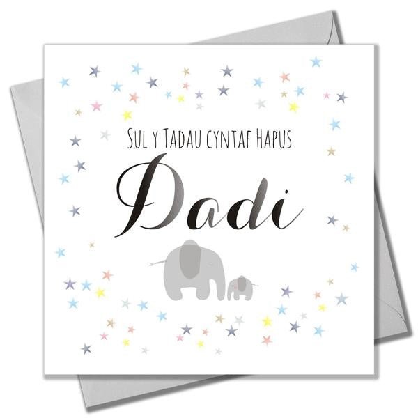 Welsh Father's day card 'Sul y Tadau Hapus Dadi' 1st Father's day daddy