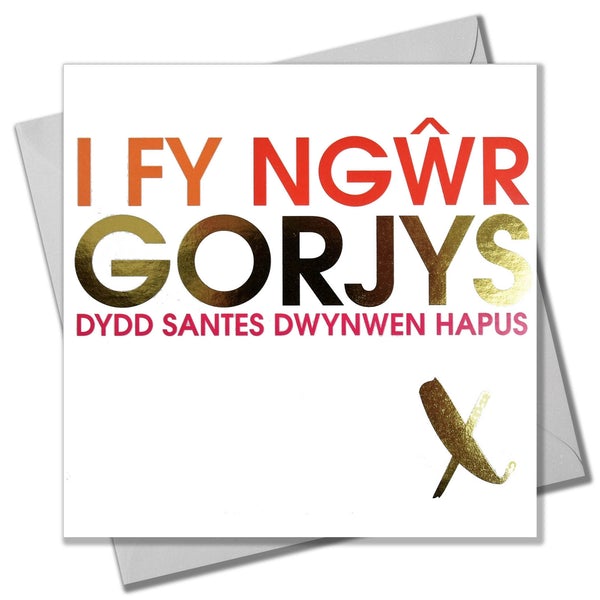 Love card 'I fy ngŵr gorjys; Dydd Santes Dwynwen Hapus' husband foil