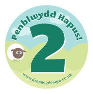Birthday badge &