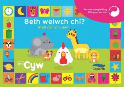 Beth Welwch Chi? What Can You See?