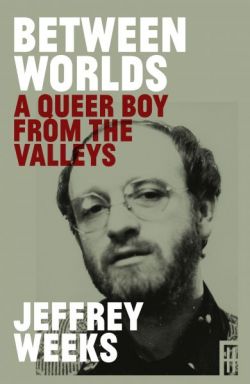 Between Worlds - Queer Boy from the Valleys, A