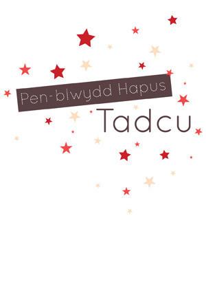 Birthday card 'Pen-blwydd Hapus Tadcu' grandfather
