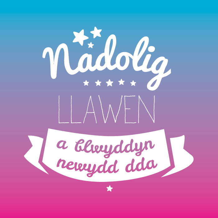 Christmas card 'Nadolig Llawen a Blwyddyn Newydd Dda' blue & pink