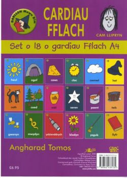 Cyfres Darllen Mewn Dim: Cam Llipryn Llwyd (Cardiau Fflach) +