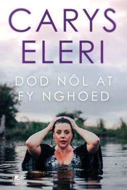 Dod NÃ´l at fy Nghoed +