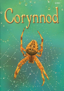 Cyfres Dechrau Da: Corynnod