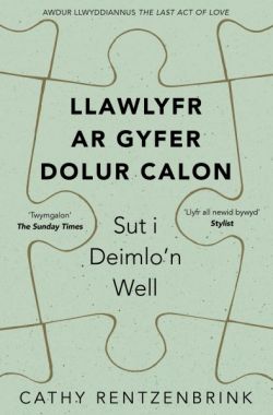 Llawlyfr ar Gyfer Dolur Calon