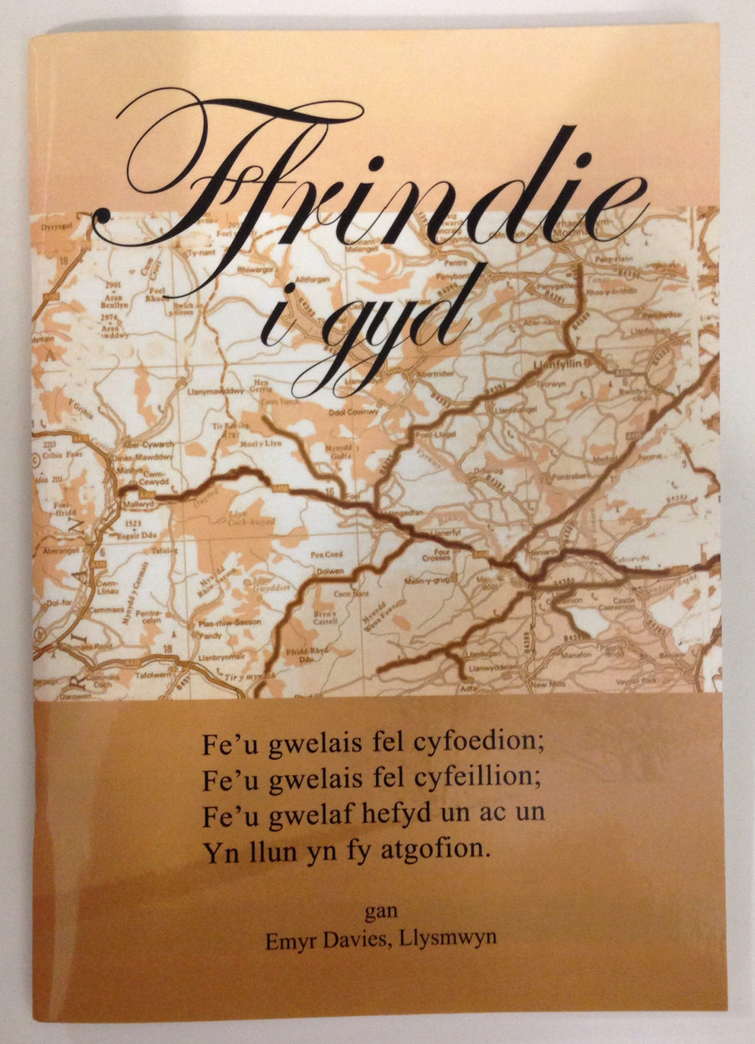 Ffrindie i gyd