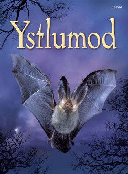 Cyfres Dechrau Da: Ystlumod