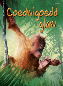 Cyfres Dechrau Da: Coedwigoedd Glaw *