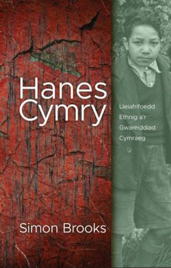 Hanes Cymry - Lleiafrifoedd Ethnig a&