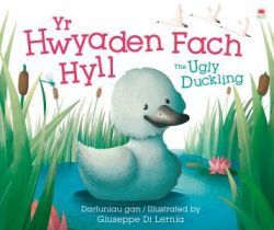 Hwyaden Fach Hyll, Yr