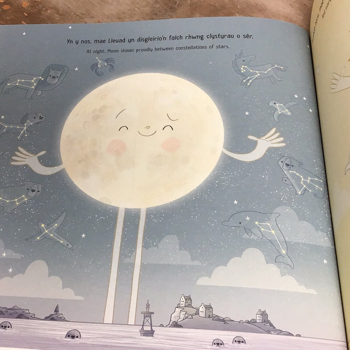 Noson Ddiflannodd y Lleuad, Y / Night the Moon Went Missing, The