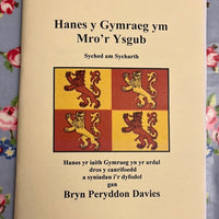 Syched am Sycharth: Hanes y Gymraeg ym Mro'r Ysgub - Bryn Peryddon Davies