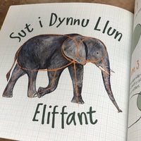 Rhyfeddol! Sut i Dynnu Llun *